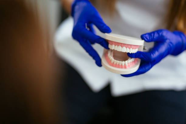 Best Pediatric Dentistry  in Greendale, IN
